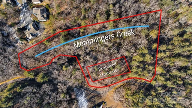 a view of a backyard with trees