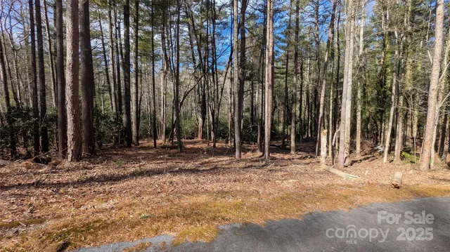 $1,999,000 | 257 Roberts Lane North, Unit 7, Flat Rock, NC 28731