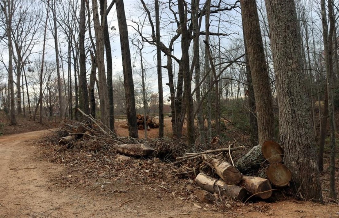 0 Hart Cut Road Marietta, SC 29661 - Photo 5 of 8