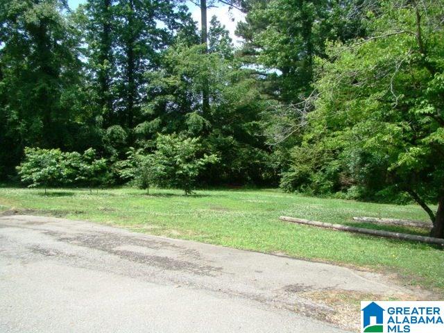 340 Wilson Willingham Road Oxford, AL 36203 - Photo 30 of 35 Gallery Image 30