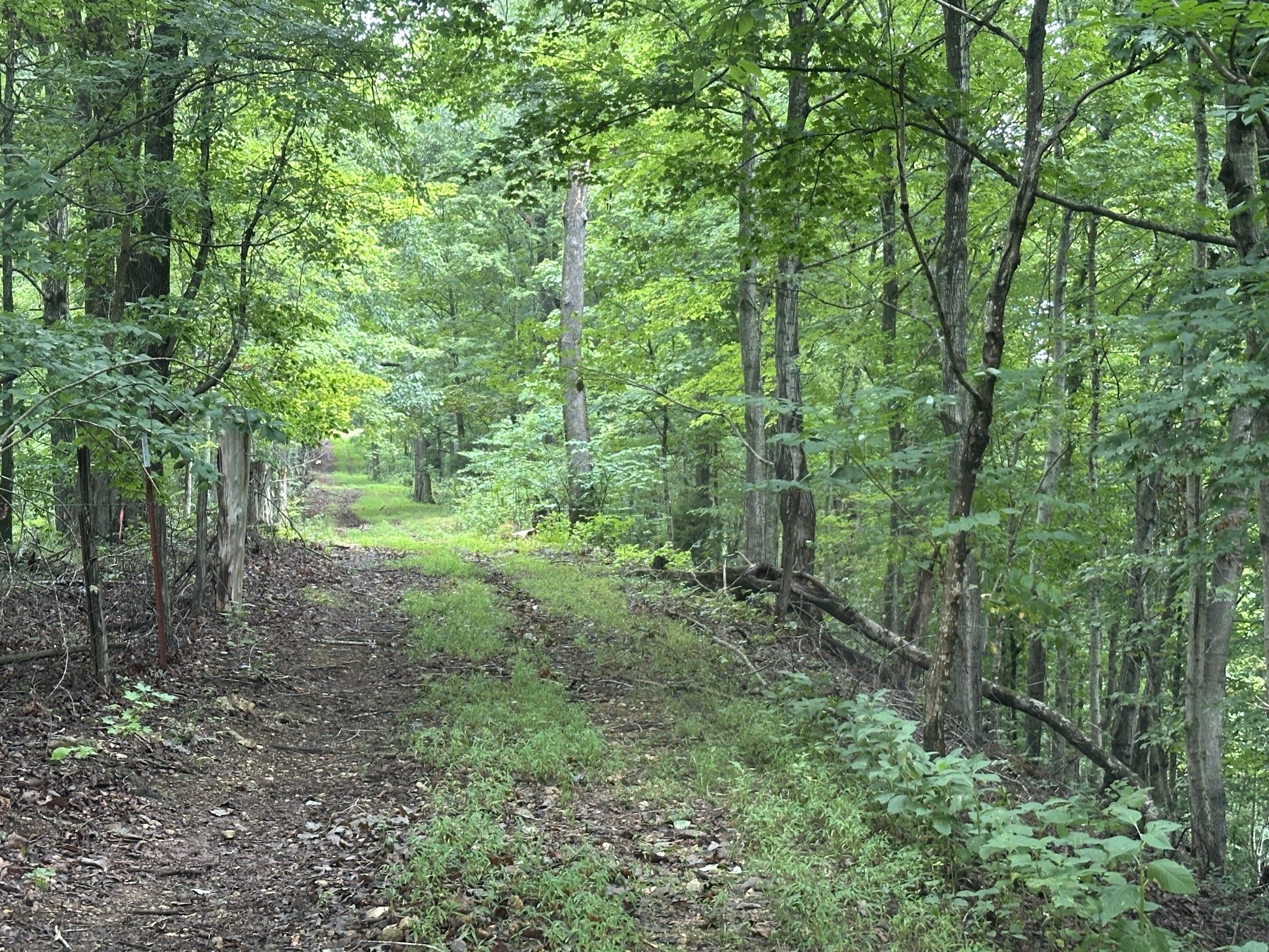 0 Pea Ridge Road Chestnut Mound, TN 38552 - Photo 11 of 20 Gallery Image 11