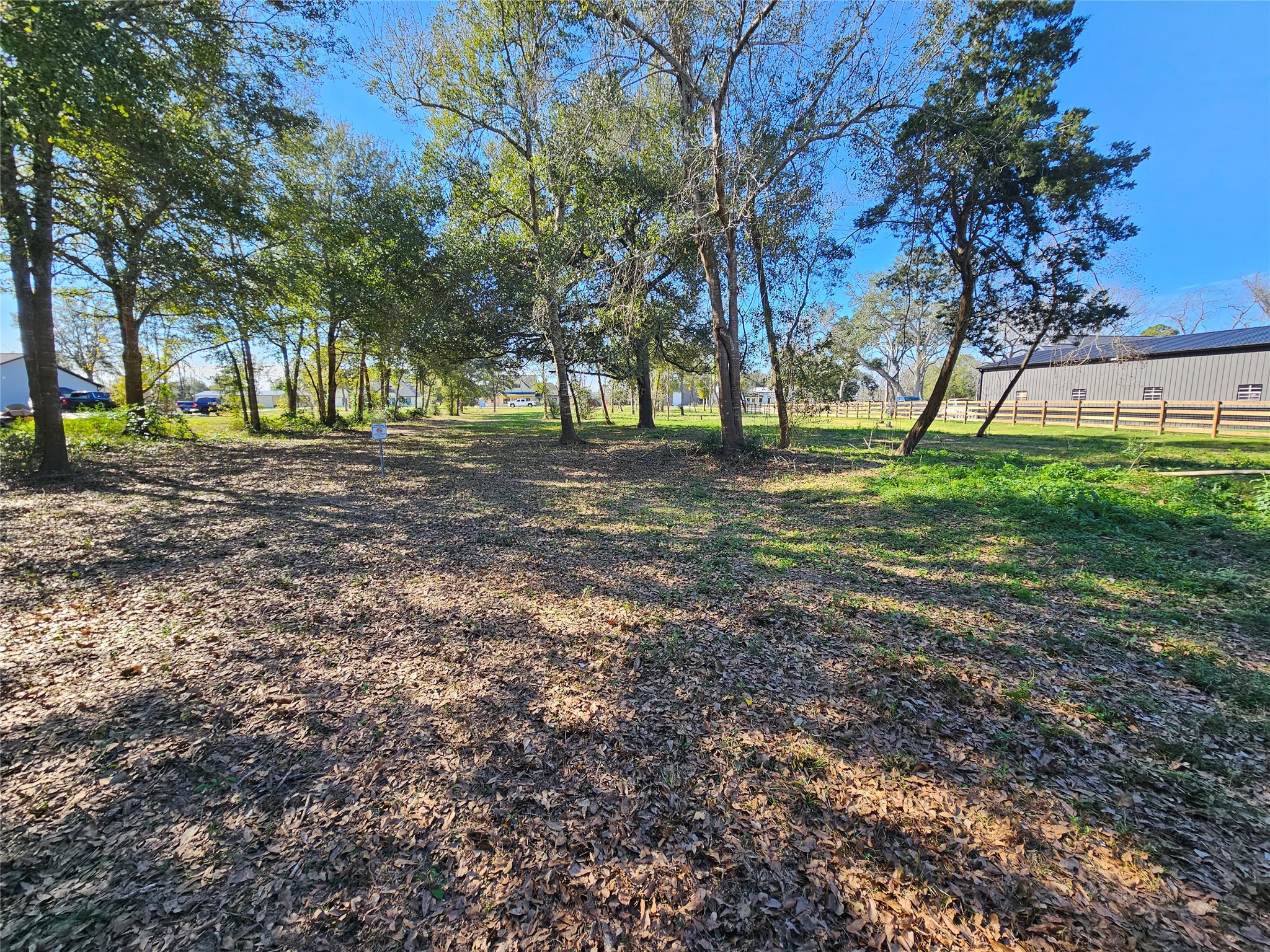 4607 Shadow Pond Lane Alvin, TX 77511 - Photo 9 of 12 a view of a yard with tree s