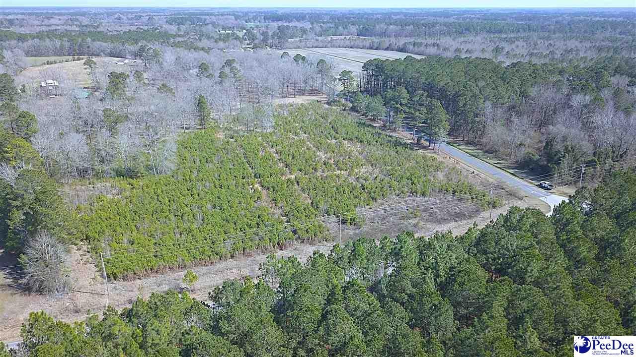 Tbd Huggins Road Lake City, SC 29560 - Photo 4 of 12 Gallery Image 4