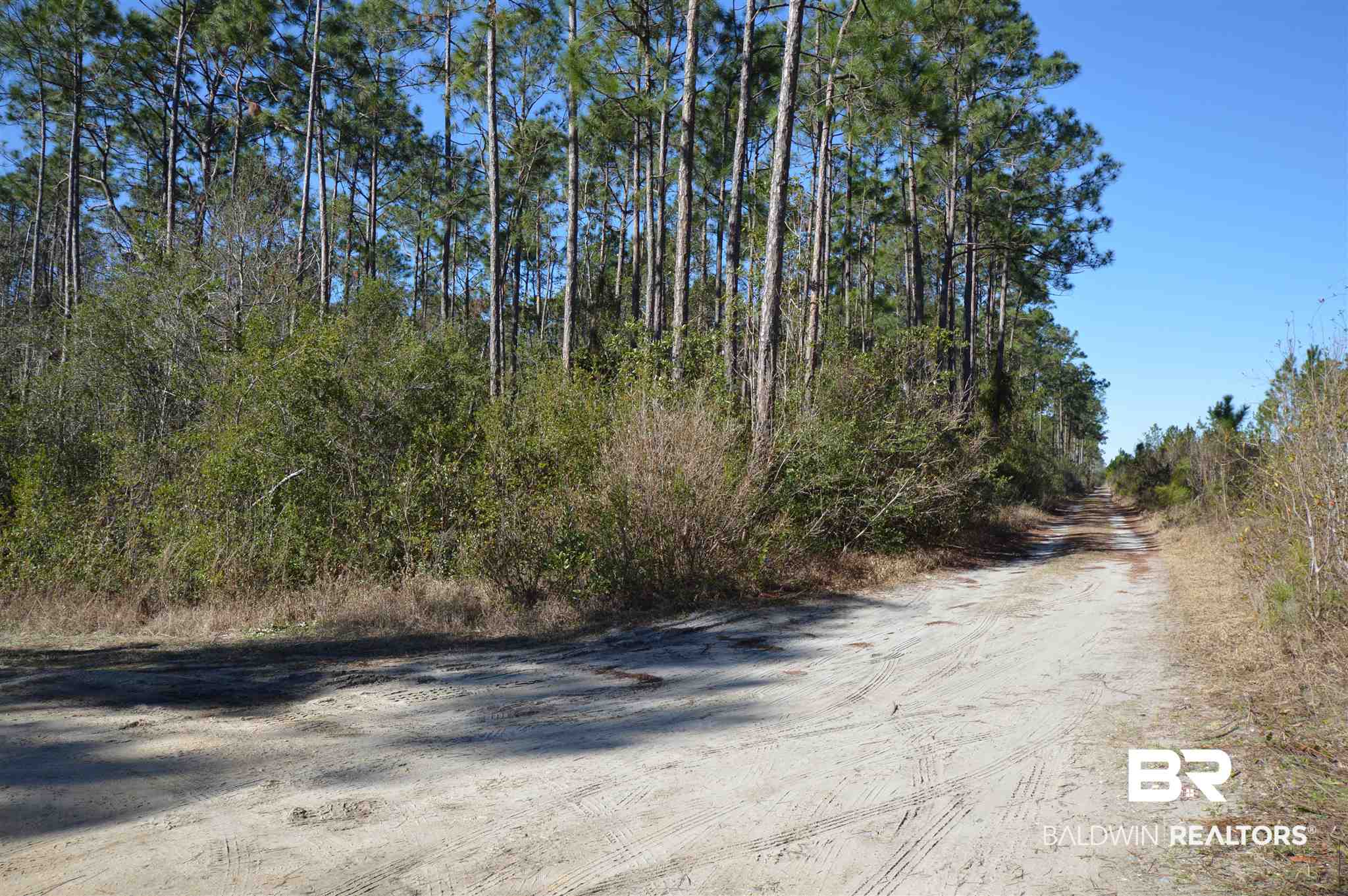 Lot 246 Rester Avenue Lillian, AL 36549 - Photo 6 of 9