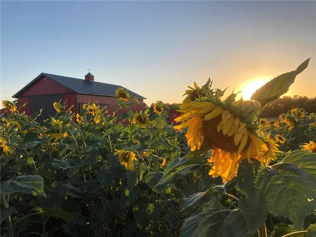 $1,000,000 | 35100 East Outer Belt Road, Lone Jack, MO 64070