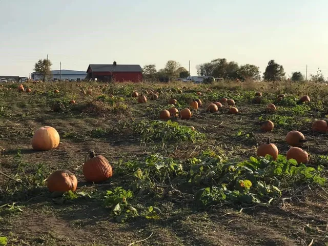 $1,000,000 | 35100 East Outer Belt Road, Lone Jack, MO 64070