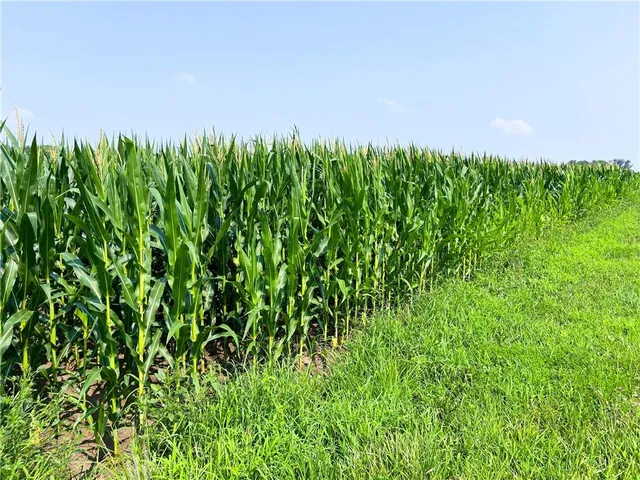 $1,000,000 | 35100 East Outer Belt Road, Lone Jack, MO 64070