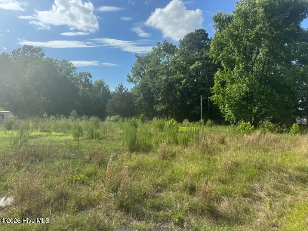 447 Jimmy Road Magnolia, NC 28453 - Photo 2 of 6