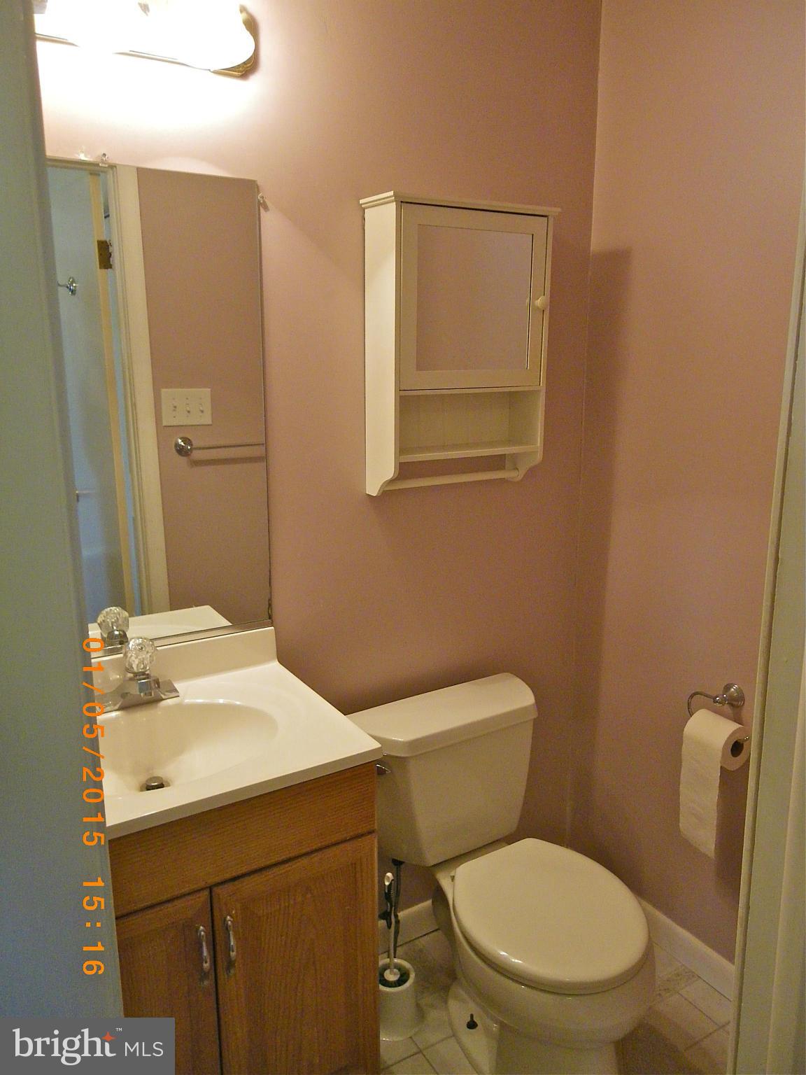 5347 Balls Mill Road Midland, VA 22728 - Photo 20 of 30 Bathroom with Shower in Family Room
