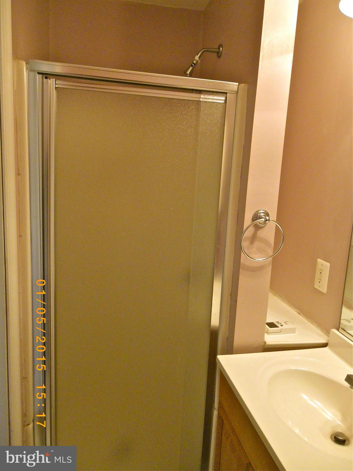 5347 Balls Mill Road Midland, VA 22728 - Photo 21 of 30 Bathroom with Shower in Family Room