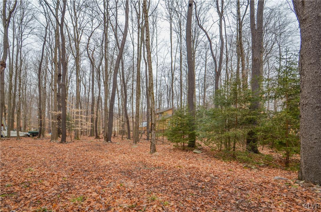 227 King Arthur Road Blakeslee, PA 18610 - Photo 14 of 18 Gallery Image 14