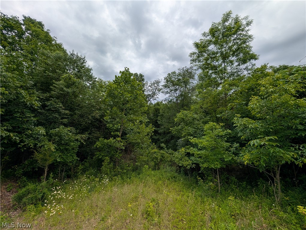 36 County Road Bloomingdale, OH 43910 - Photo 38 of 44 Gallery Image 38