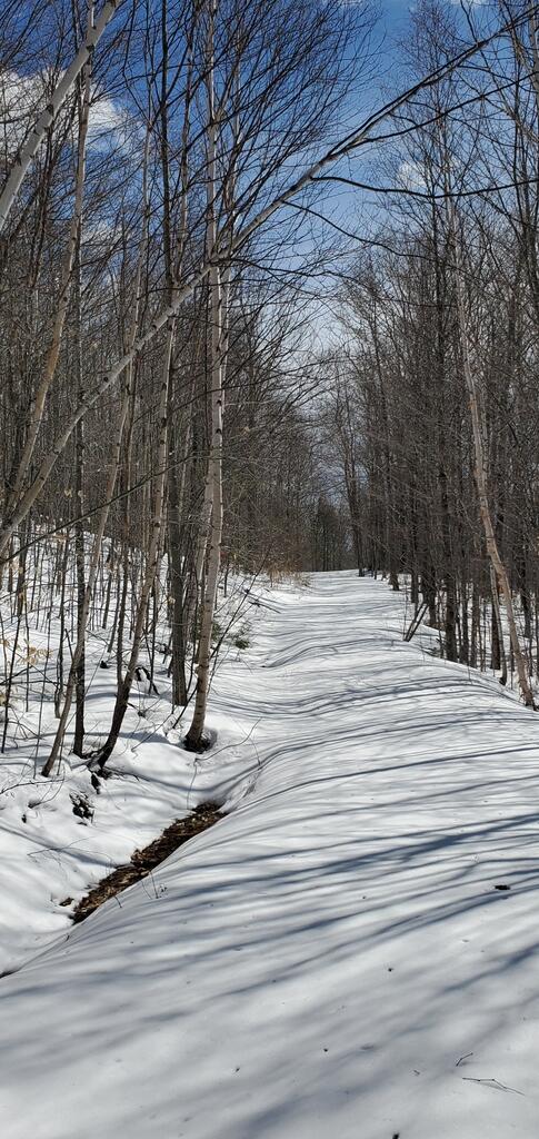 Tbd Kennison Road Temple, ME 04984 - Photo 8 of 10 20220315_140841