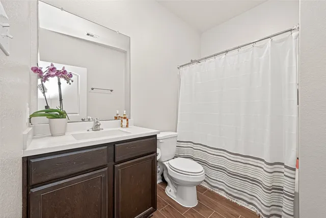 a bathroom with a sink a toilet a mirror and shower curtain