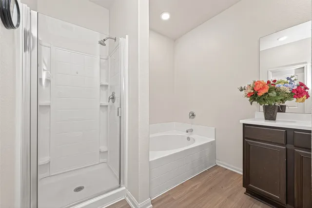 a bathroom with a bathtub shower sink and mirror