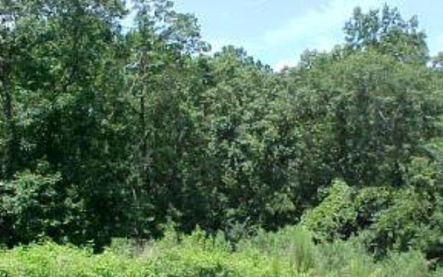 3514 Dry Creek Road Hephzibah, GA 30815 - Photo 1 of 1 Main View