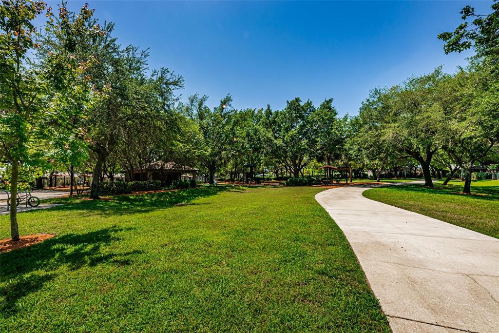 1821 Alvara Place Trinity, FL 34655 - Photo 45 of 63