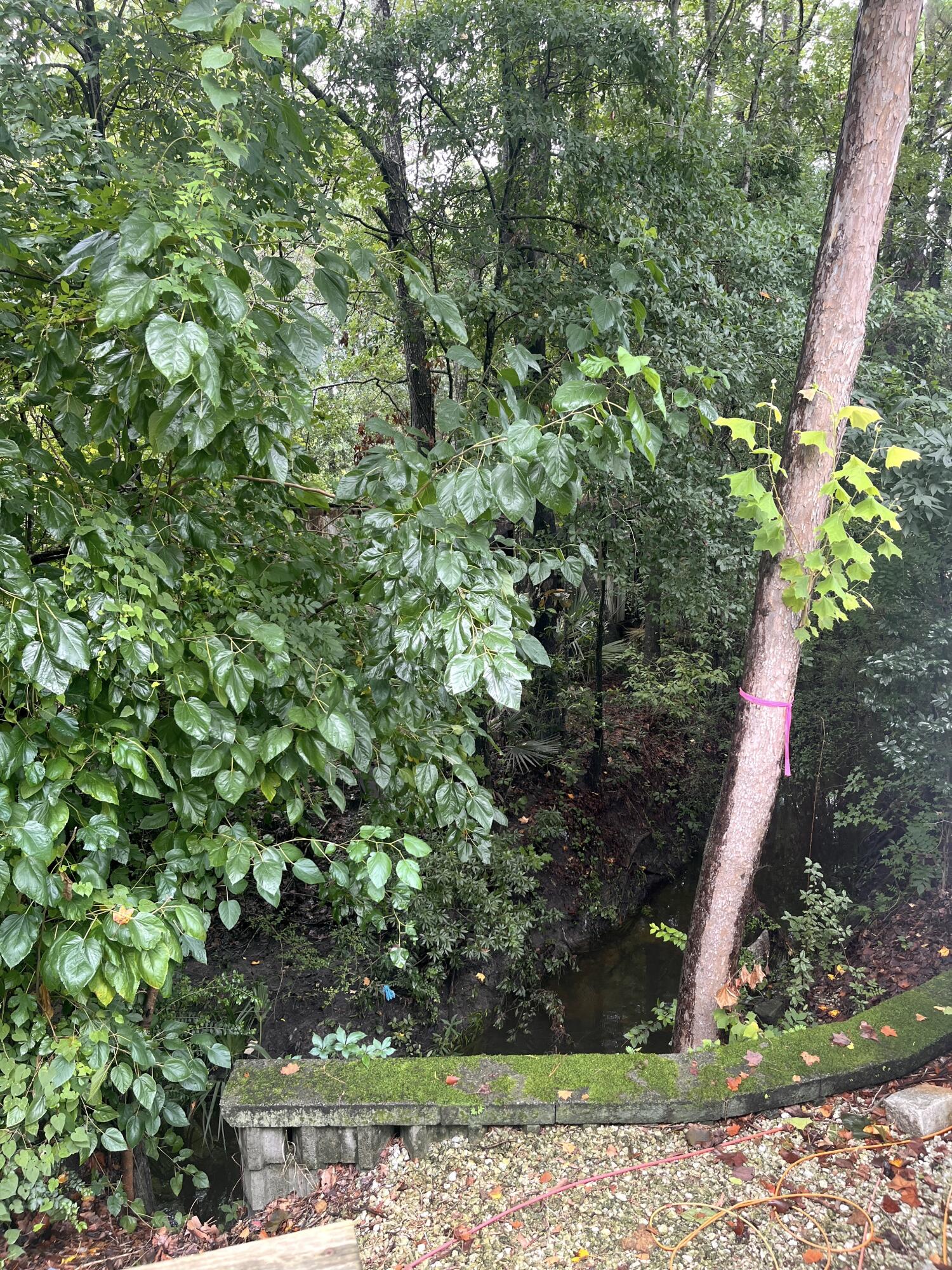 991 Rochelle Avenue Charleston, SC 29407 - Photo 13 of 13 IMG_2540