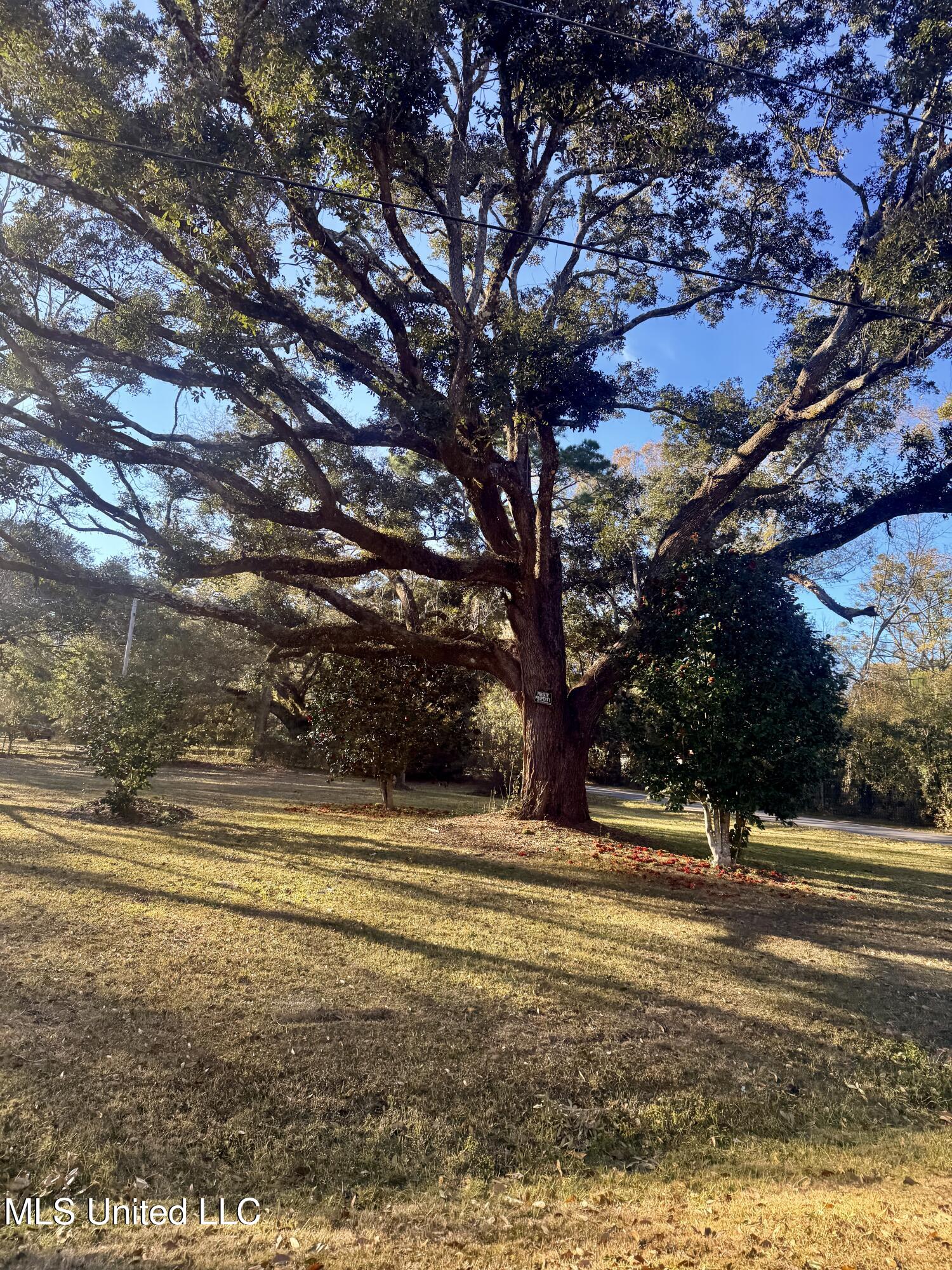 913 Roys Road Gautier, MS 39553 - Photo 3 of 4 IMG_0308