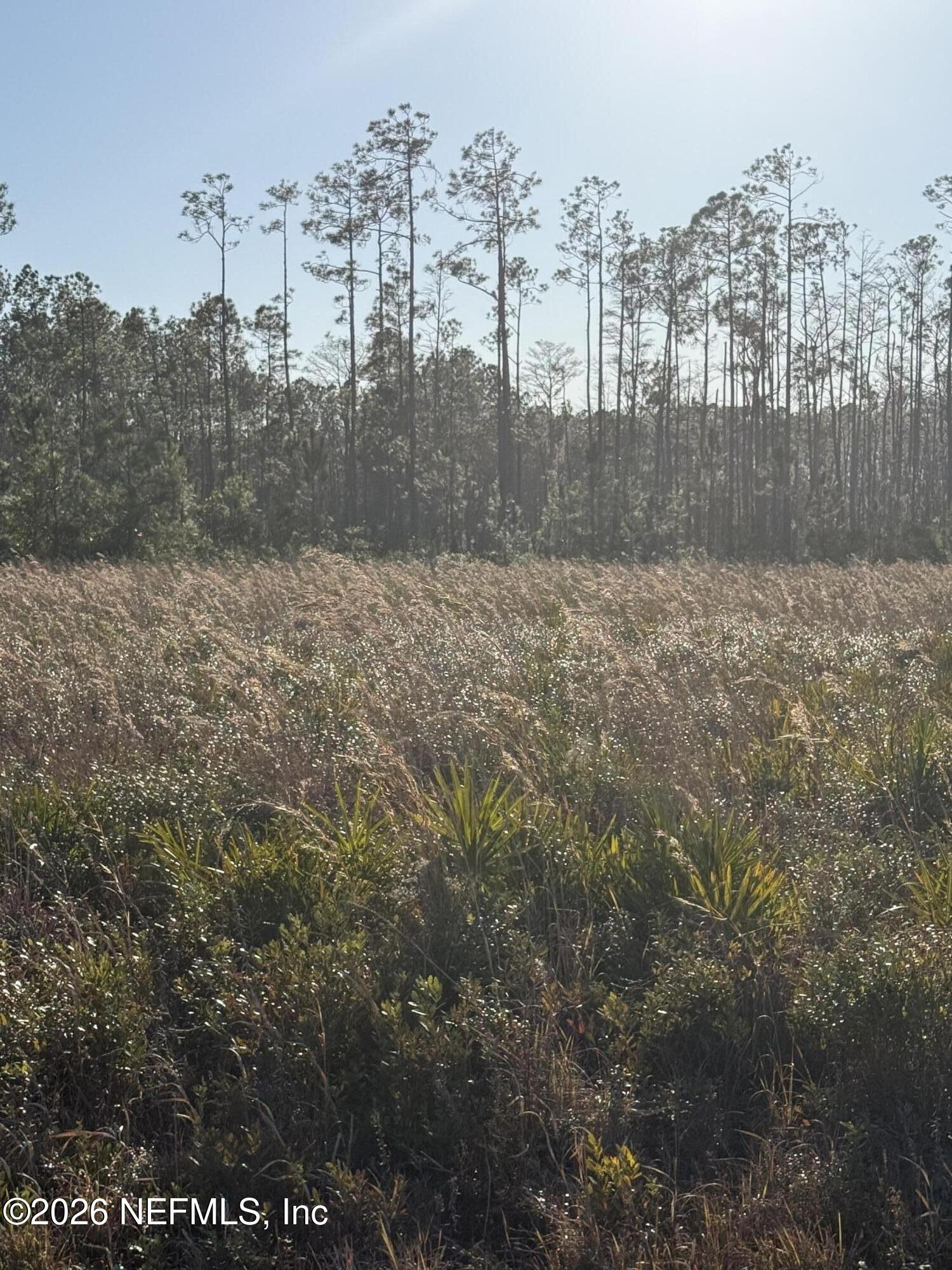 0 Conner-Nelson Road Hilliard, FL 32046 - Photo 2 of 3 IMG_9625