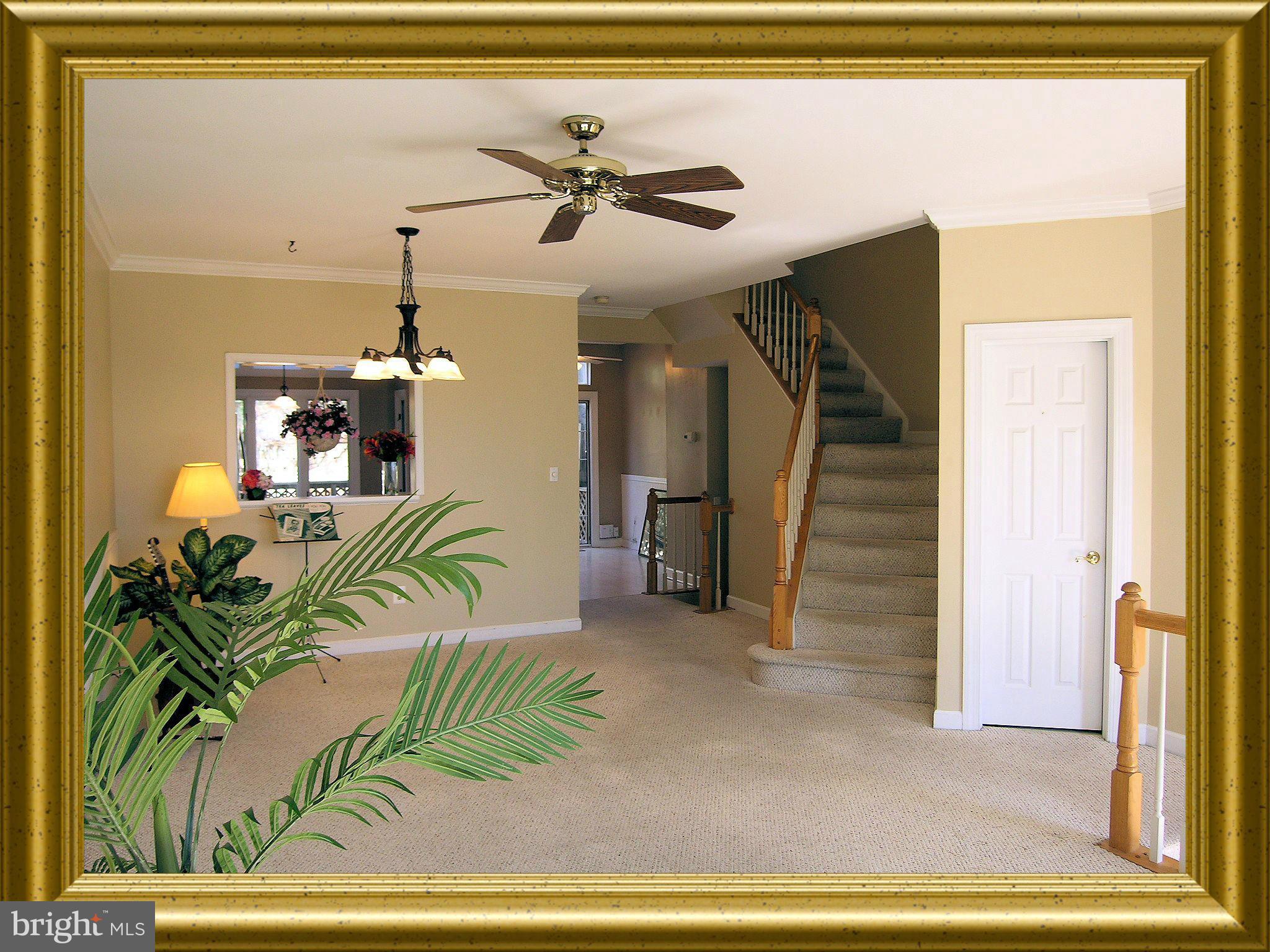 3636 Ransom Place Alexandria, VA 22306 - Photo 11 of 24 Living Room