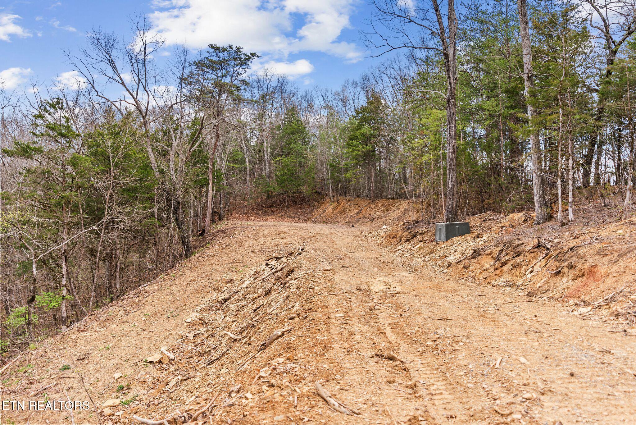 197 Ruth Lane Sevierville, TN 37862 - Photo 36 of 42 unrestricted 4 acres2