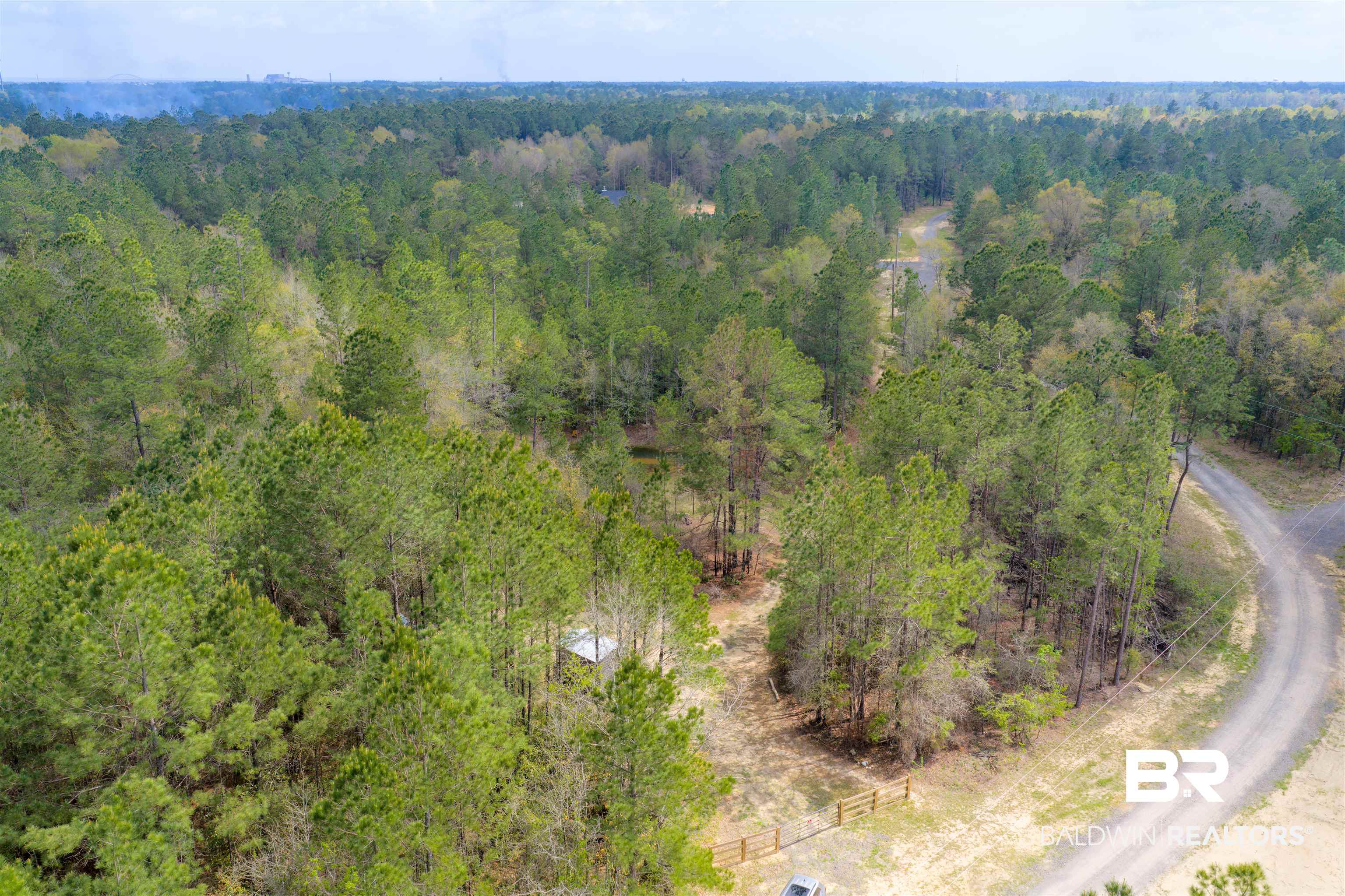 0 Salco Road Axis, AL 36505 - Photo 12 of 24 Aerial view of a forest
