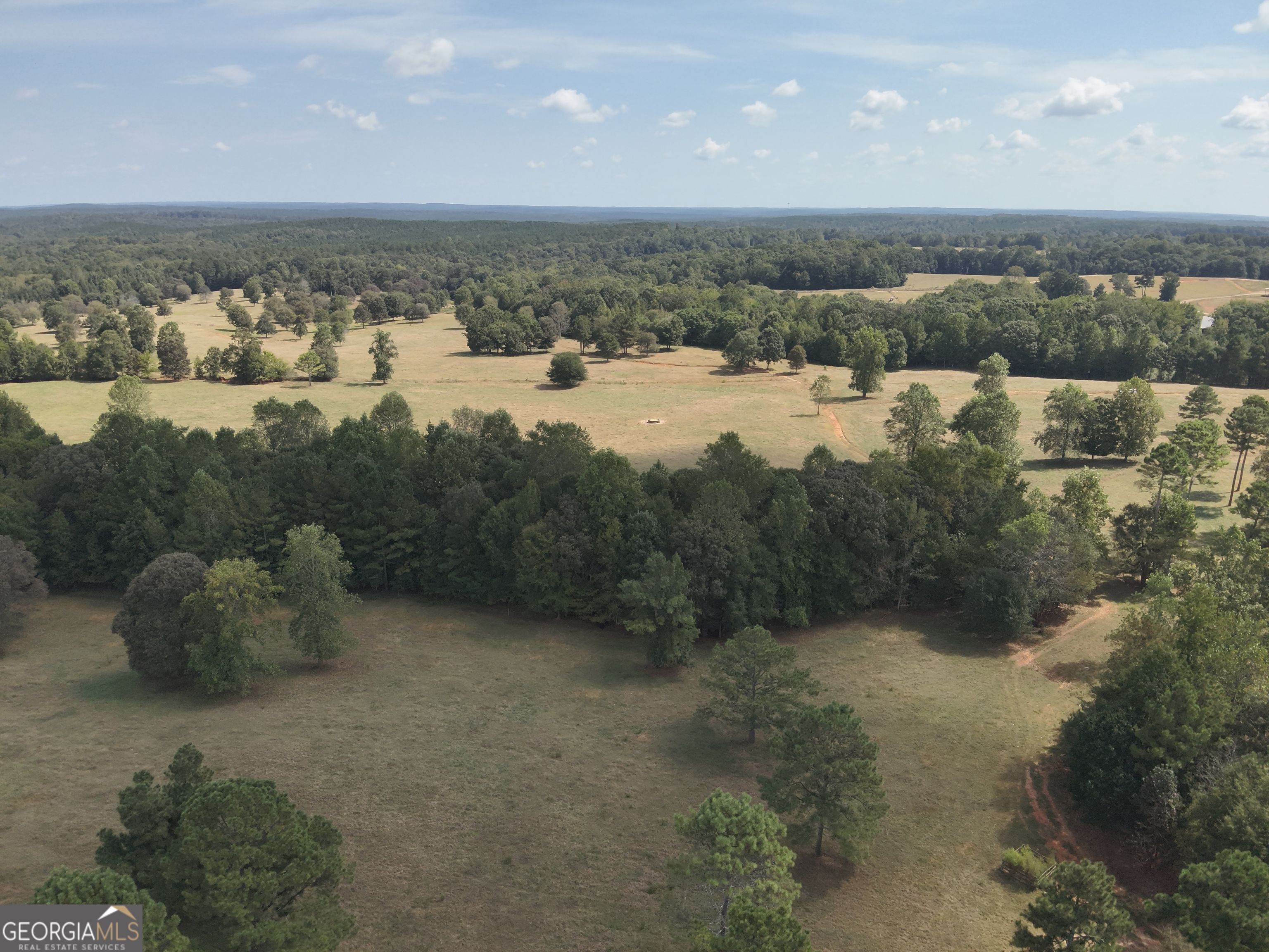 120 Torbet Road Forsyth, GA 31029 - Photo 63 of 118 a view of a lake with a mountain