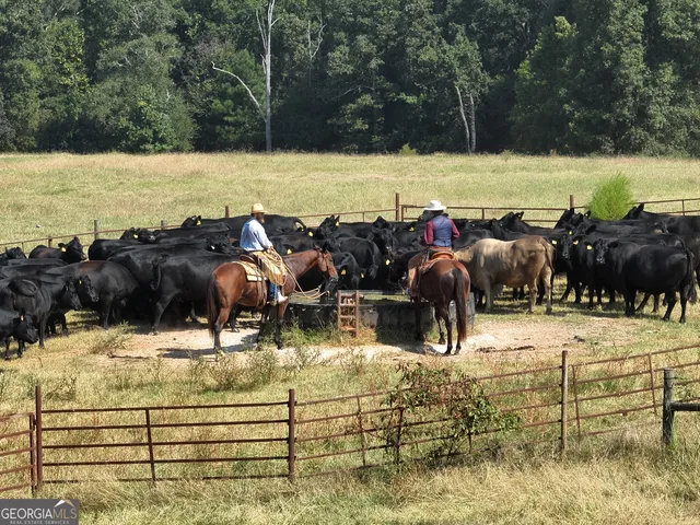 $4,795,000 | 120 Torbet Road, Forsyth, GA 31029