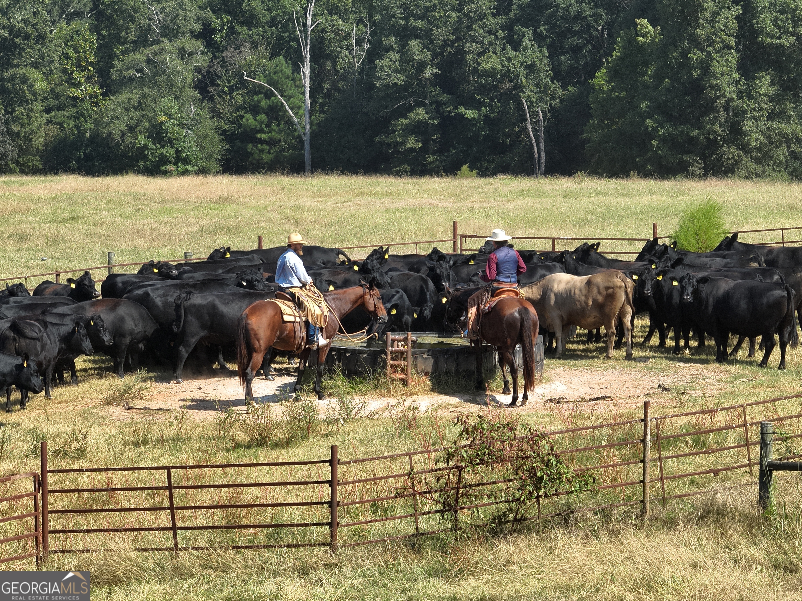 120 Torbet Road Forsyth, GA 31029 - Photo 66 of 118 a view of swimming pool with lawn chairs and mountain view