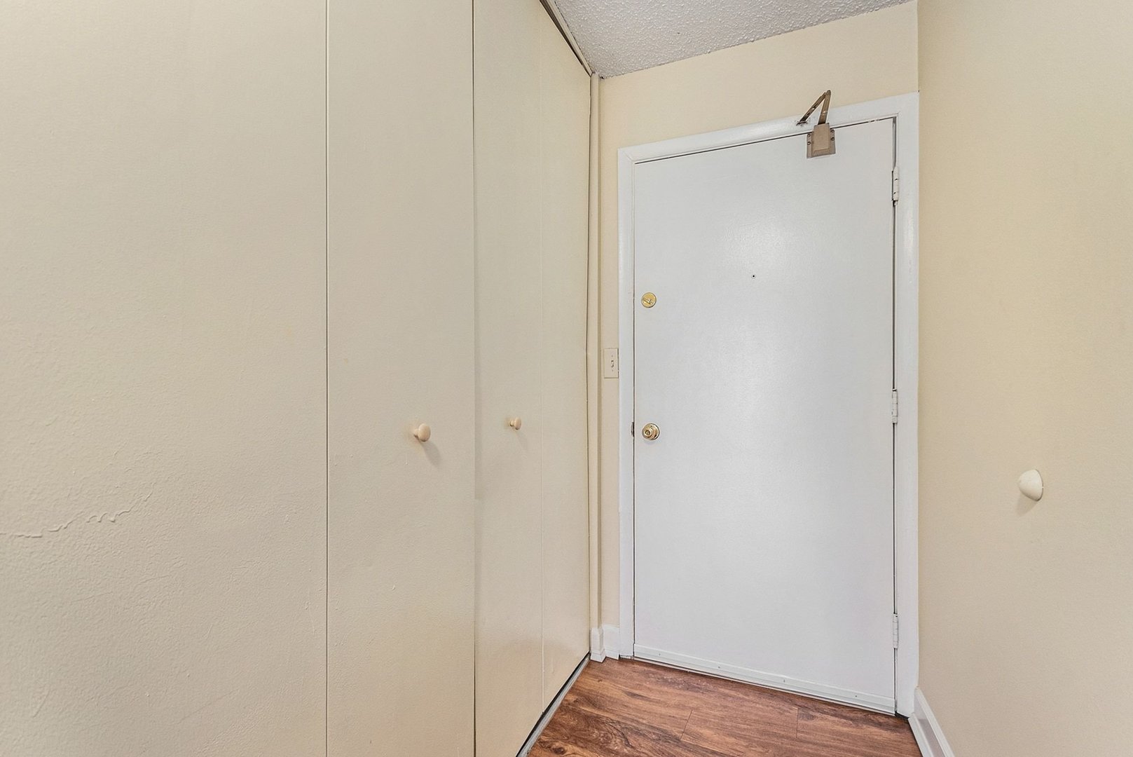 1043 South York Road, Unit 202 Bensenville, IL 60106 - Photo 4 of 19 a view of closet area