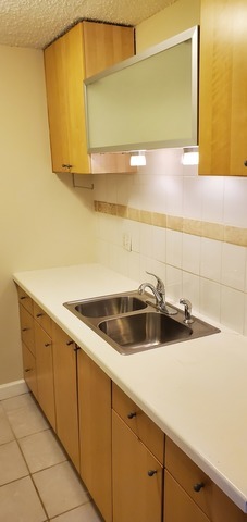 1043 South York Road, Unit 202 Bensenville, IL 60106 - Photo 5 of 14