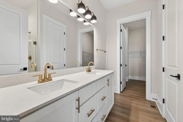 a bathroom with a sink a mirror and a shower