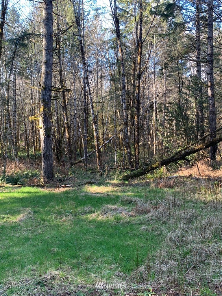 142 East Leffler Loop Road Grapeview, WA 98546 - Photo 3 of 3 Gallery Image 3