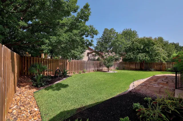 a view of a backyard with large trees and plants
