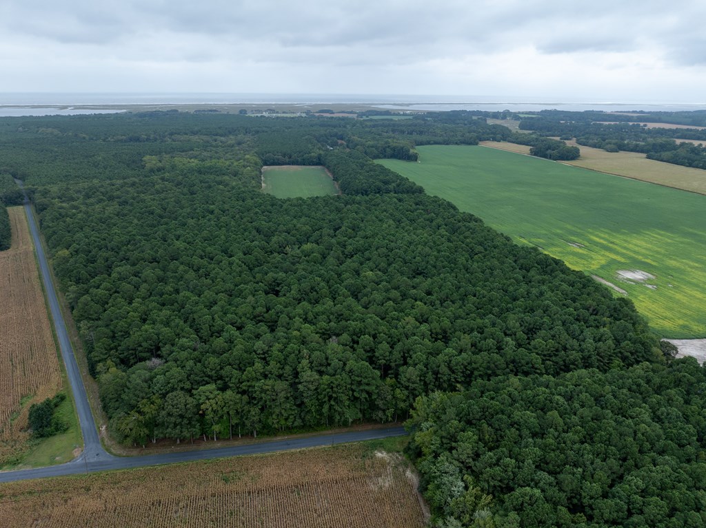 0 Whites Neck Road, Unit 140 Parksley, VA 23421 - Photo 6 of 10