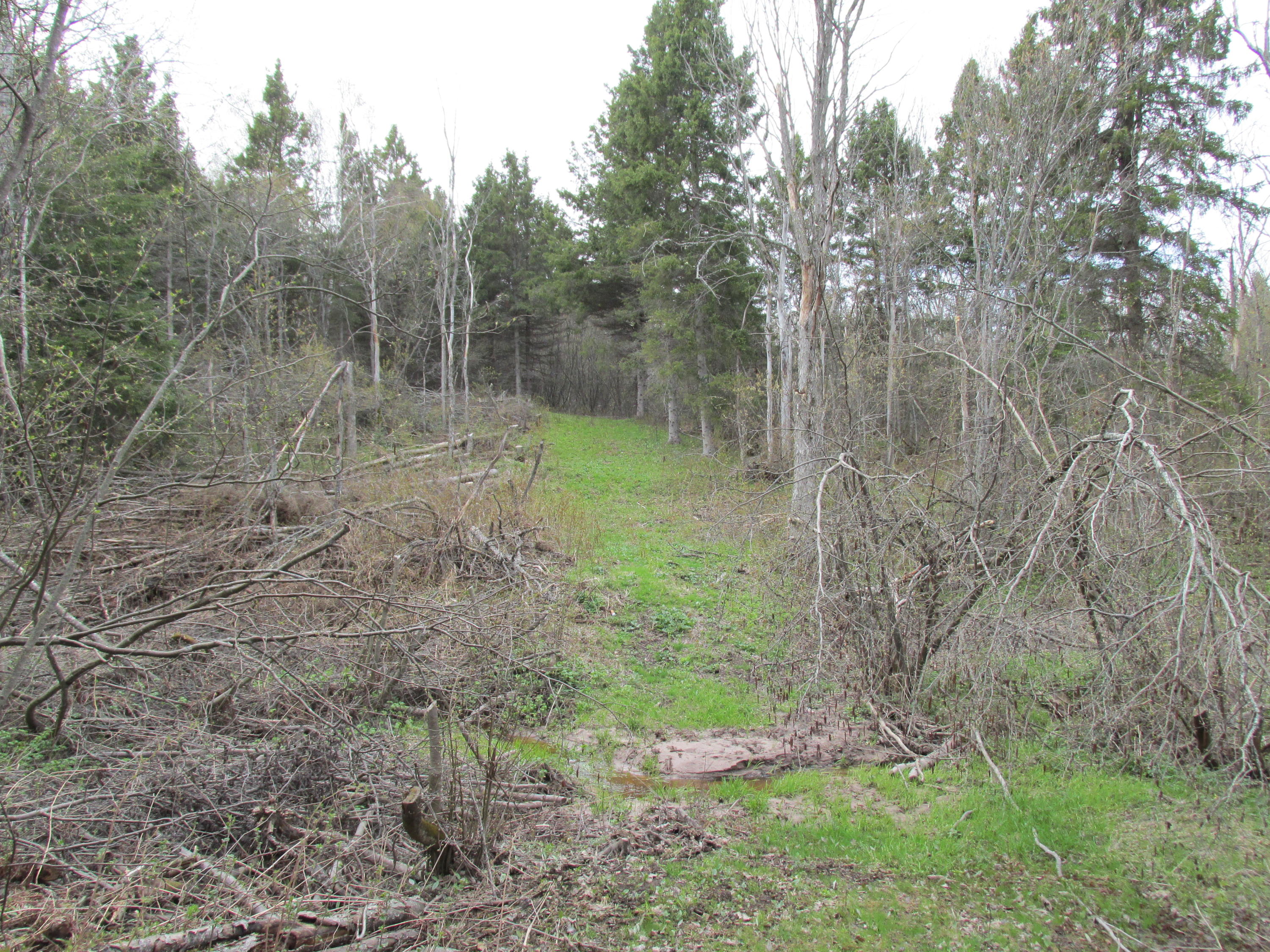 0 West 7 Mile Road Brimley, MI 49715 - Photo 2 of 12 Gallery Image 2