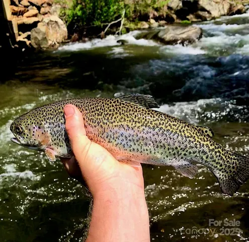 $169,900 | 2 Highland River Parkway, Unit 2, Newland, NC 28657