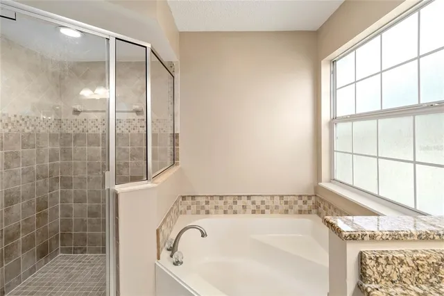 a bathroom with a granite countertop bathtub and a shower