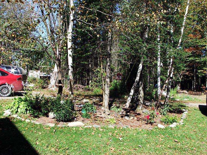 418 Hemore Road Ludlow, ME 04730 - Photo 7 of 35 Yard/Garden.