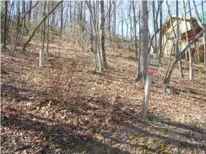 $50,000 | 147 Eagle Creek Trail, Rising Fawn, GA 30738