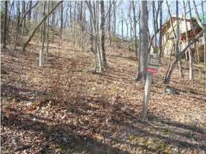 147 Eagle Creek Trail Rising Fawn, GA 30738 - Photo 2 of 4 20150130023642769825000000