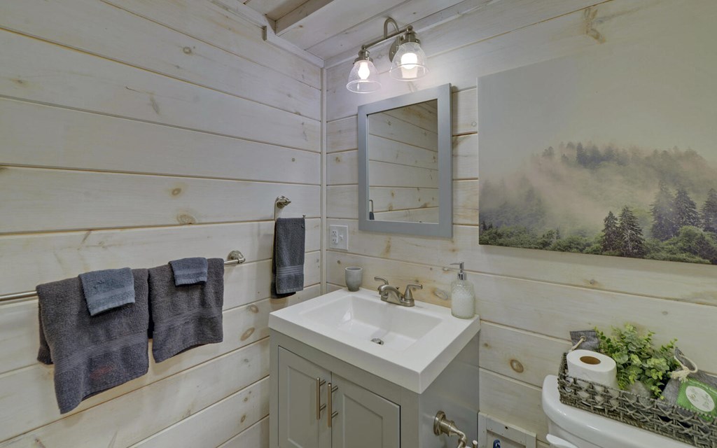 380 Tanglewood Drive Blue Ridge, GA 30513 - Photo 28 of 39 Gallery Image 28