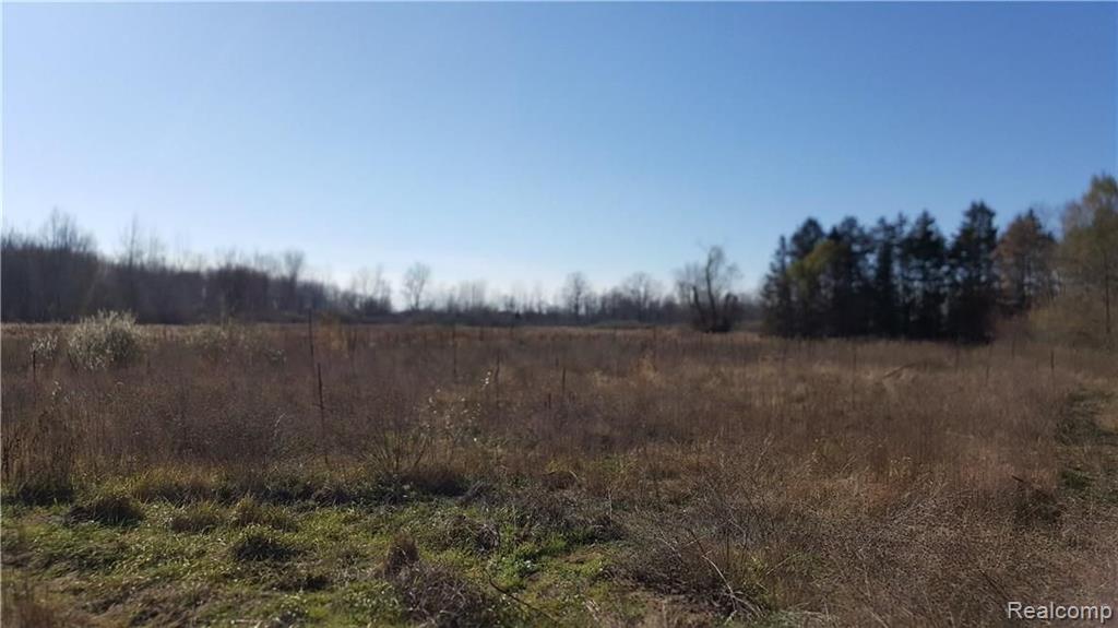 1 Bog Belleville, MI 48111 - Photo 4 of 4 Gallery Image 4