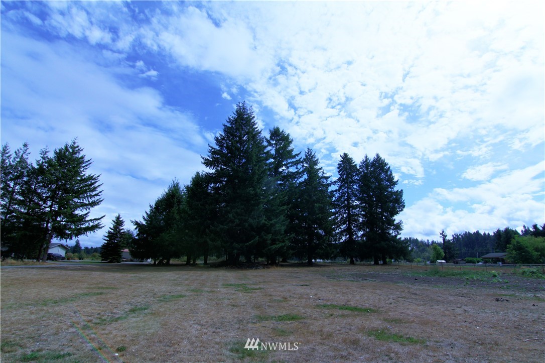 19002 Nutmeg Street Southwest Rochester, WA 98579 - Photo 18 of 19 a view of a yard with trees in the background