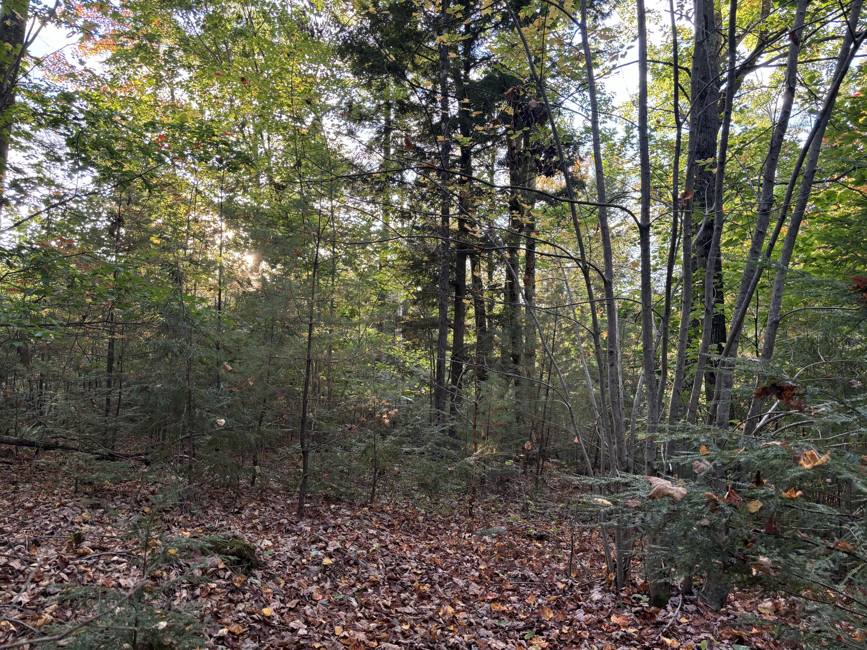 41 Blake Road Monmouth, ME 04259 - Photo 8 of 19 IMG_5714