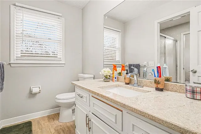 a bathroom with a sink a mirror and a toilet