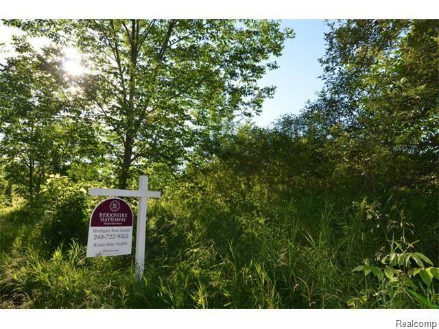 Vacant Rattalee Lake Road Fenton, MI 48430 - Photo 5 of 7