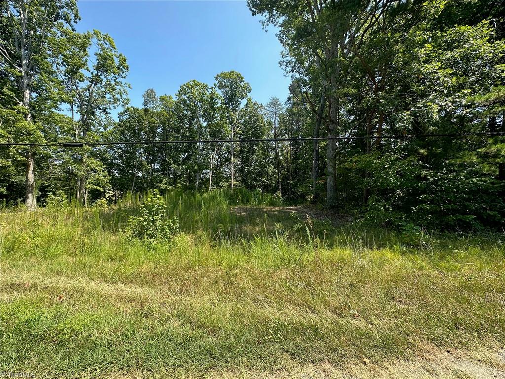 6825 B Red Bank Road Germanton, NC 27019 - Photo 1 of 14 Gallery Image 1