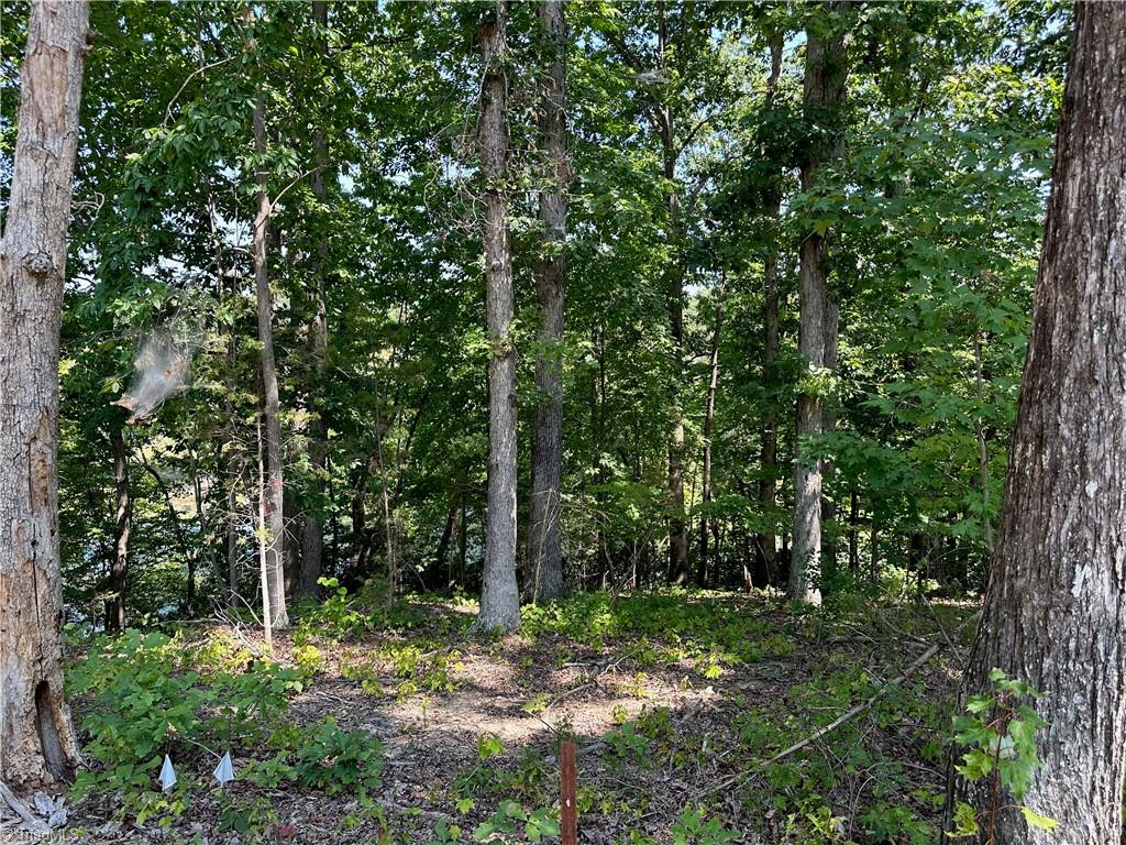 6825 B Red Bank Road Germanton, NC 27019 - Photo 11 of 14 Gallery Image 11
